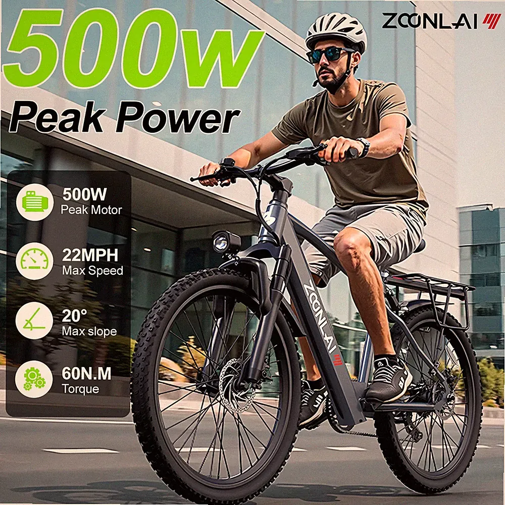 22 Speeds Fat Tire Bike