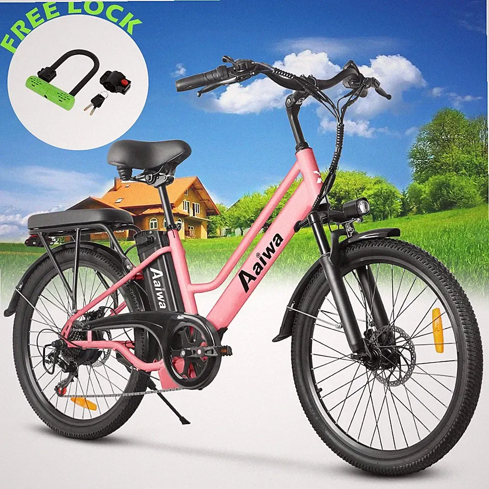 22 Speeds Cargo Bike