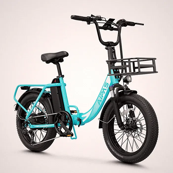 Aipas 20" Fat Tire 1000W Electric Bike 48V 12.8Ah Electric Mountain Bike Folding