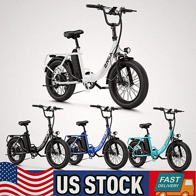 Aipas 20" Fat Tire Electric Bike 1000W Peak 48V Folding E bike Emtb for Adults