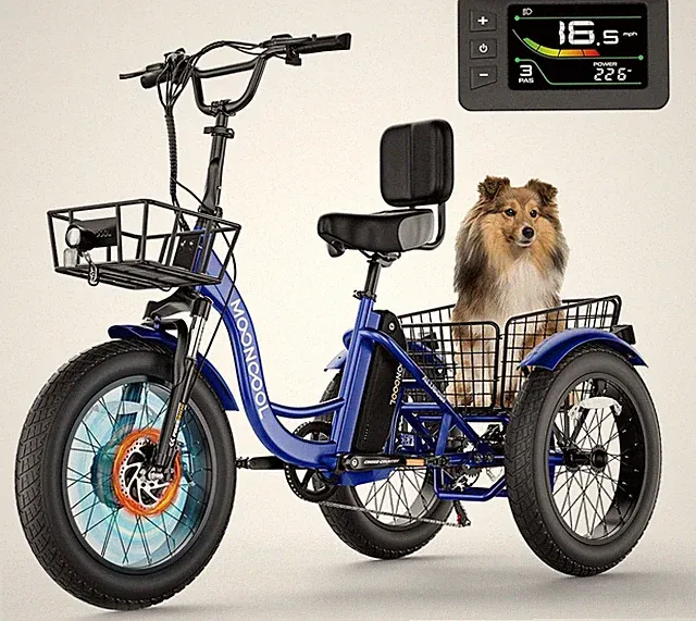 NAIZEA Electric Tricycle 20" x 4" Fat Tire Electric Trike 48V Peak 1000W E-Bike
