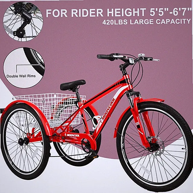 22 Speeds Tricycle